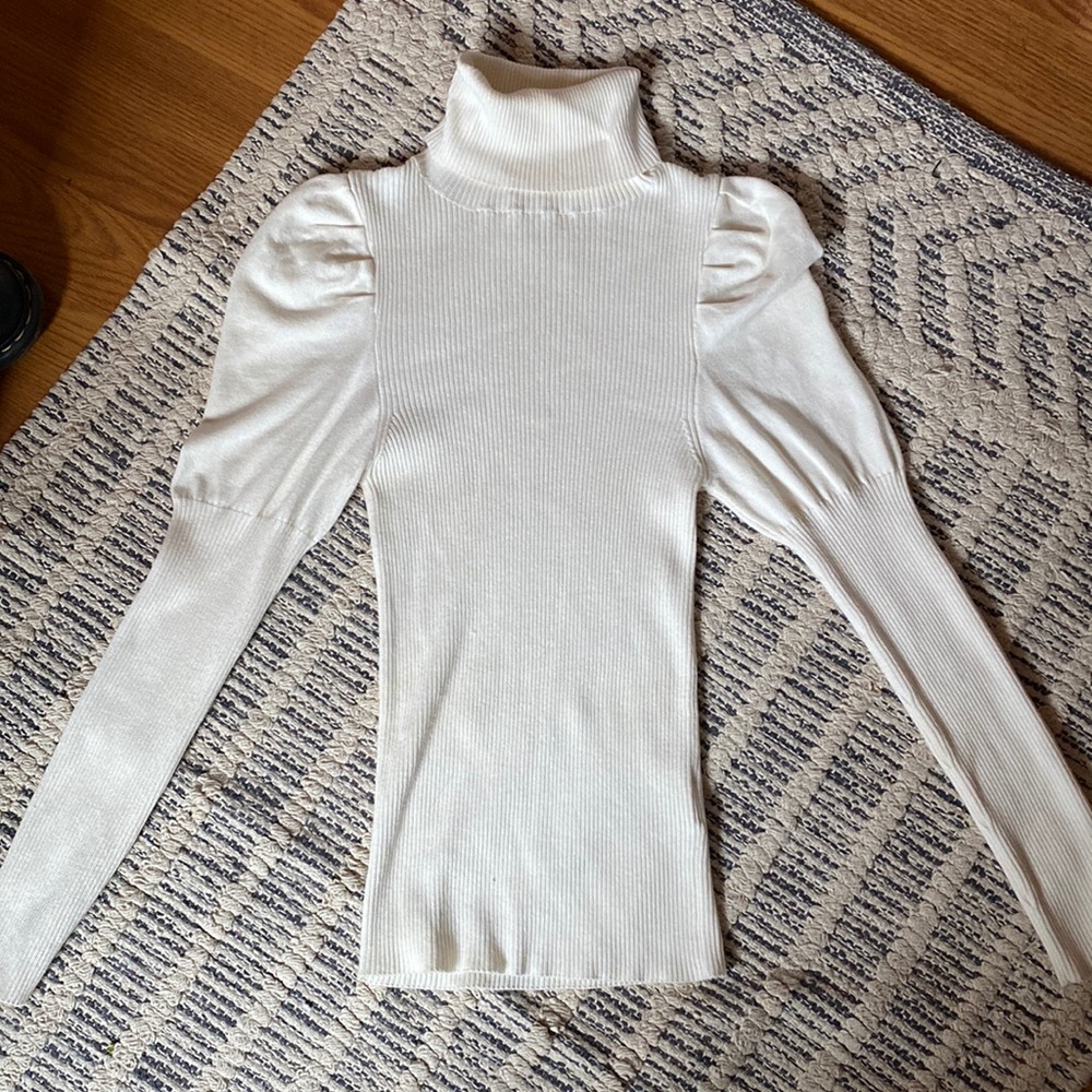 Anthropologie turtle neck